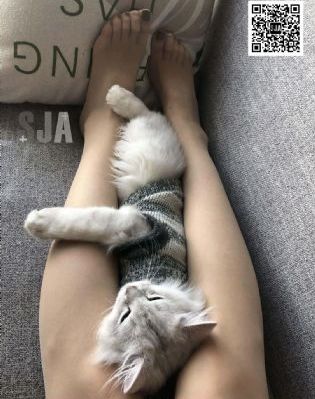 男人爽女人全过程视频_720迅雷电影在线